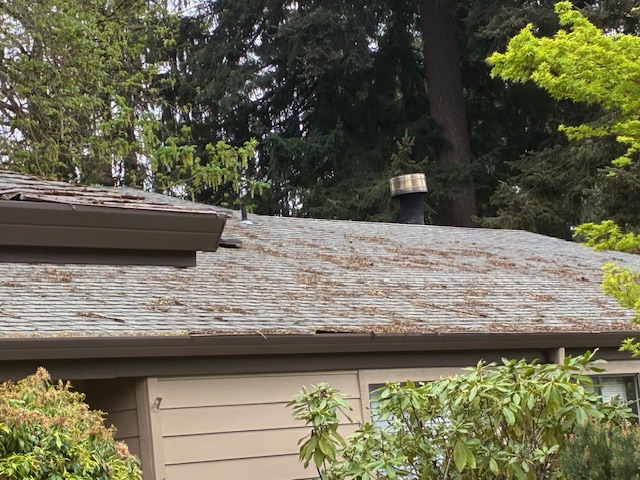 Roof inspection finding